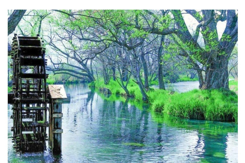 Nagano/Tokyo: Snow Monkey Private Day Tour At Lowest Rate