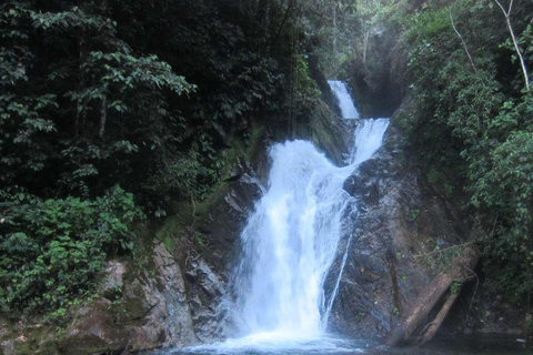 Da Junín: gita di un giorno a San Andrés