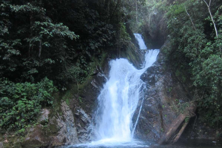 Depuis Junín : Excursion d&#039;une journée à San Andrés