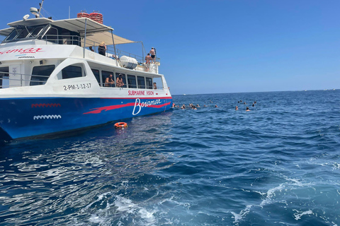 Valencia: Catamaran Cruise, Paella Lunch and Swim Stop