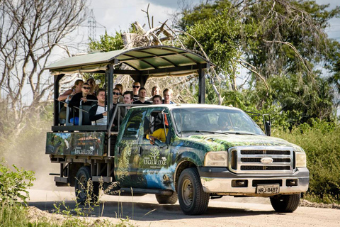 São Paulo: 3-Day Eco Safari Experience in the Pantanal