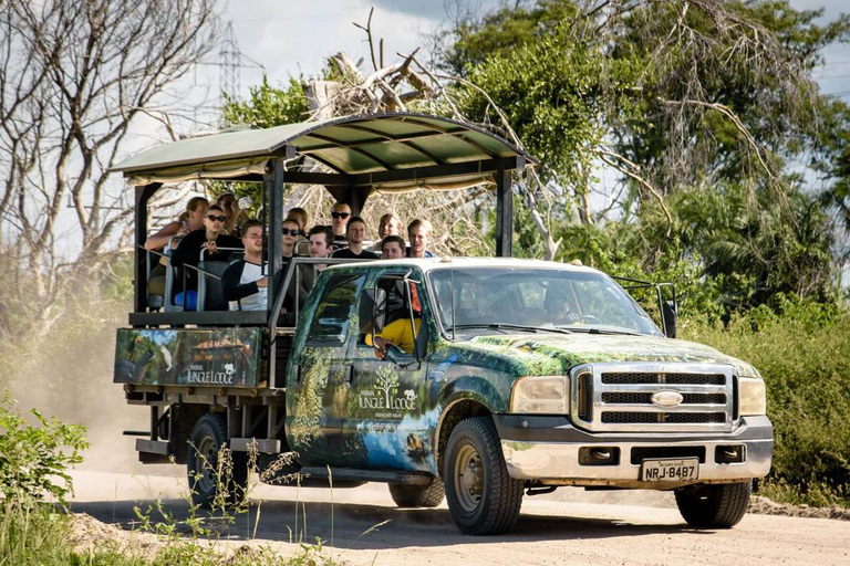 São Paulo: 3-Day Eco Safari Experience in the Pantanal