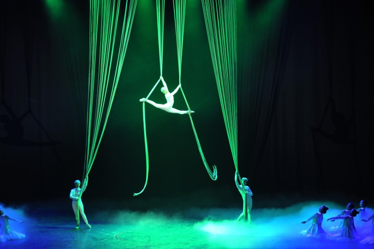 Pékin : Visite nocturne du spectacle d'acrobatie avec transfert