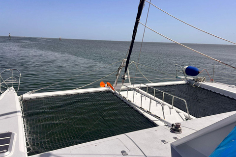 Djerba : croisière de luxe en catamaran avec baignade et collationDjerba : croisière de luxe en catamaran avec baignade et collations