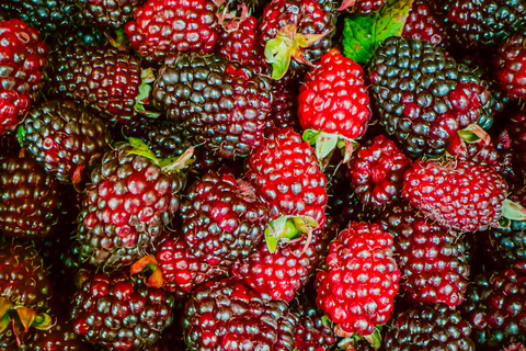 Fruitmarktrondleiding door een gastronoom