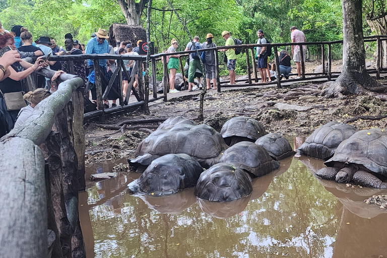 Zanzibar: Wycieczka na wyspę więzienną z pływaniem i plażowaniem