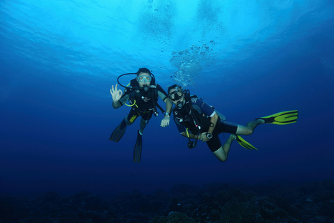 Mirissa: Unforgettable Scuba Diving Experience with Coral Fun Scuba Diving for Experienced Divers (One Tank)