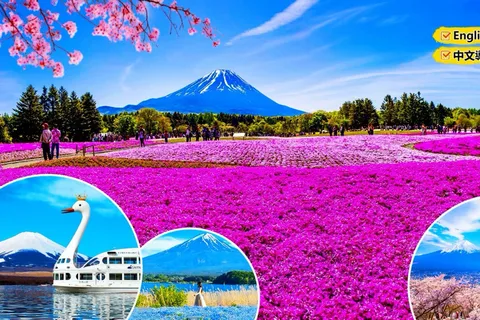 From Tokyo: Mount Fuji Private Day Tour with English Driver