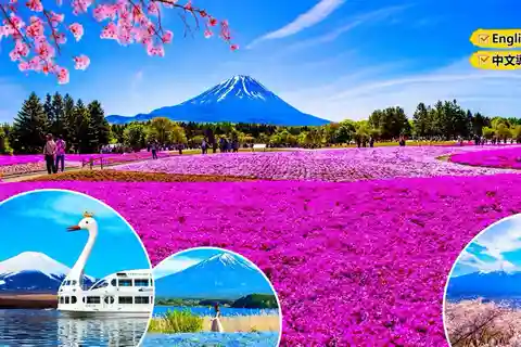 From Tokyo: Mount Fuji Private Day Tour with English Driver
