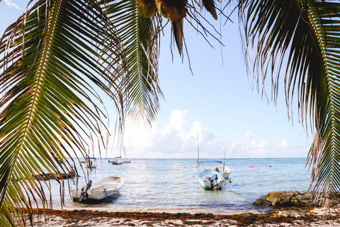 Ab Cancun/Riviera Maya: Tulum, Schildkröten & CenotenTour mit Abholung in Tulum