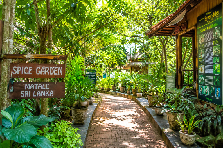 Sigiriya: Dambulla, Spice Garden & Sera Waterfall Tour