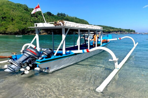 Snorkling på Bali: Snorkling vid Blå lagunen och Tanjung Jepun med lunch