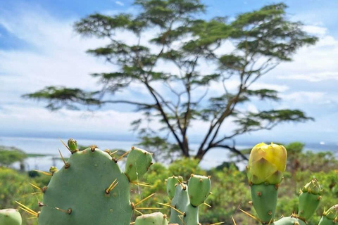 Nairobi: Crescent Island Sanctuary Day Trip with Lunch Nairobi: Crescent Island Sanctuary private day Trip