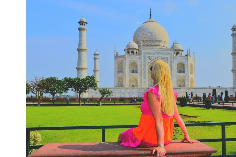 Desde Delhi: Excursión privada de un día al Taj Mahal y Agra con traslados
