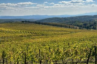 Siena: Geführte Radtour