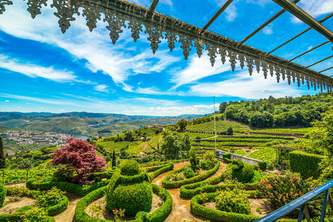 Desde Oporto: valle Duero, crucero, cata de vino y almuerzoTour privado en inglés, portugués, francés, alemán, español