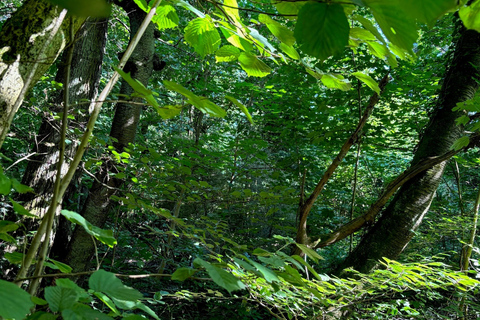 Natuur dagboek workshop in het Kurpark