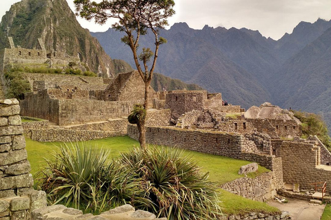 Peru in 15 days: Lima, Machu Picchu, Iquitos, Puno, Arequipa