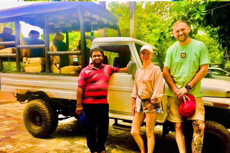 From Ella: All Inclusive Udawalawe National Park Safari