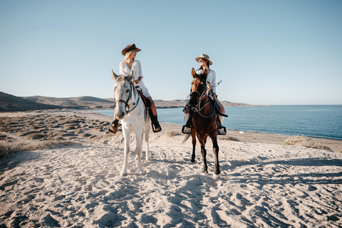 La Paz: Scenic Beach Horseback Ride