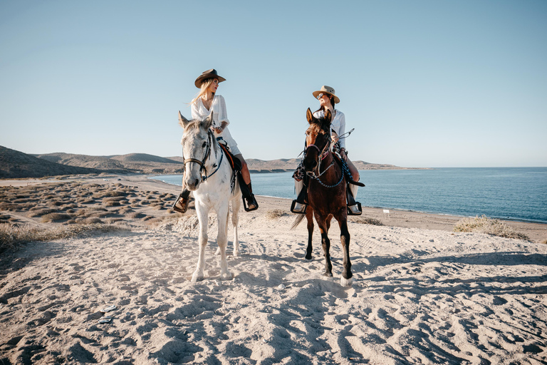 La Paz: Scenic Beach Horseback Ride