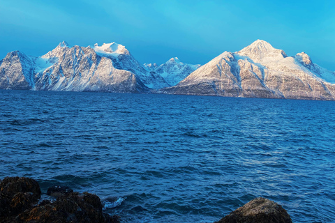 Tromsø: Guided Hiking Tour with Roundtrip Transfers