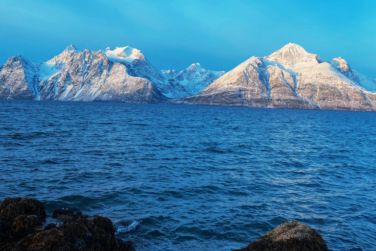 Tromsø: Guided Hiking Tour with Roundtrip Transfers