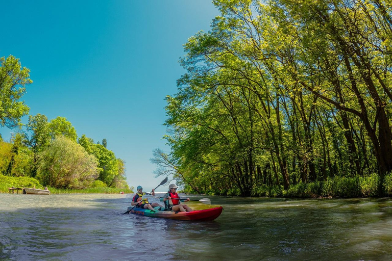From Varna: Kayaking tour on Kamchia river