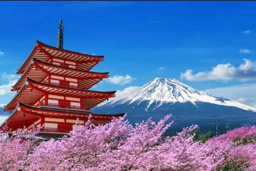 Ab Tokio: Ganztägige, individuelle private Tour zum Berg Fuji. Foto: GetYourGuide
