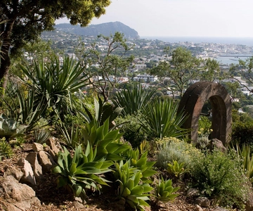 De Nápoles: Viagem de 1 dia a Ischia e aos Jardins de La Mortella