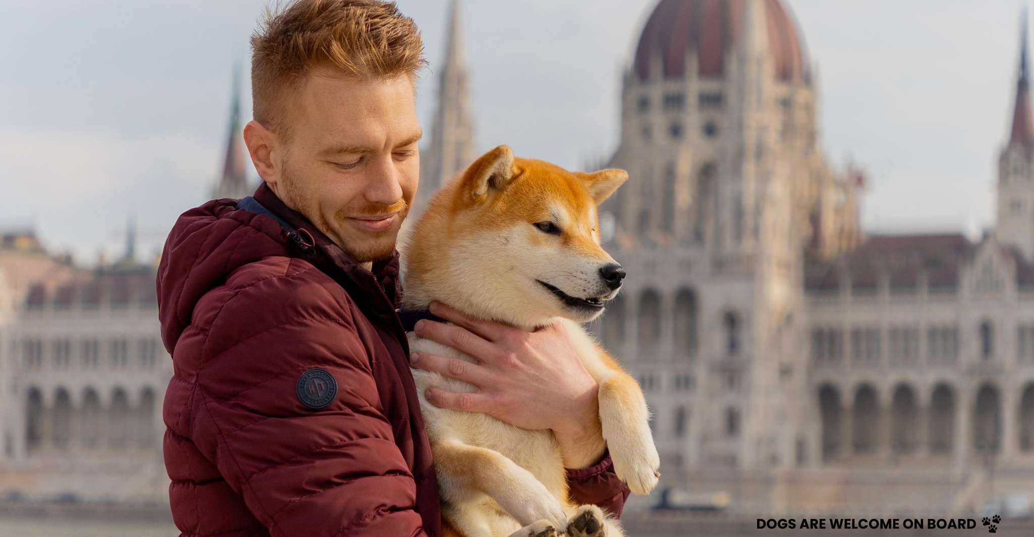 Budapest: Nighttime or Daytime City Sightseeing Cruise photo 4