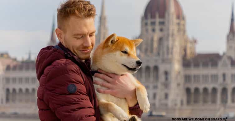 Kolaż medialny