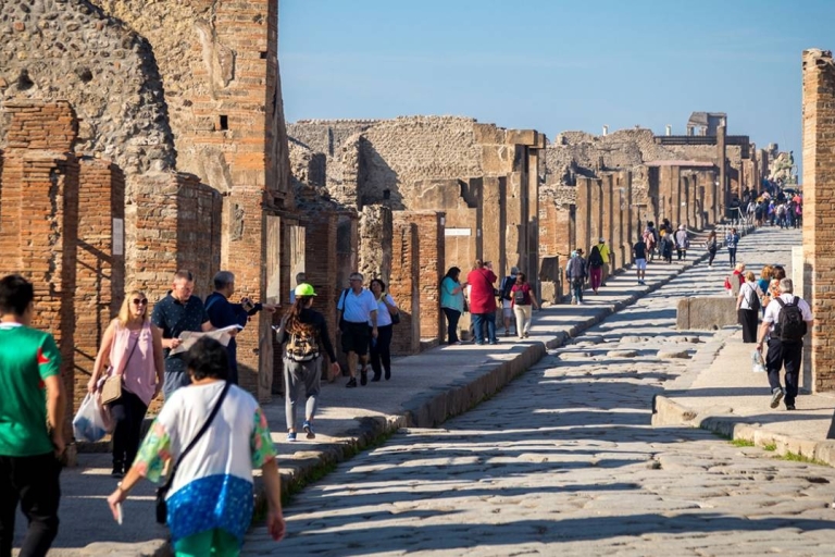 2hours guided tour in Pompeii Private tour