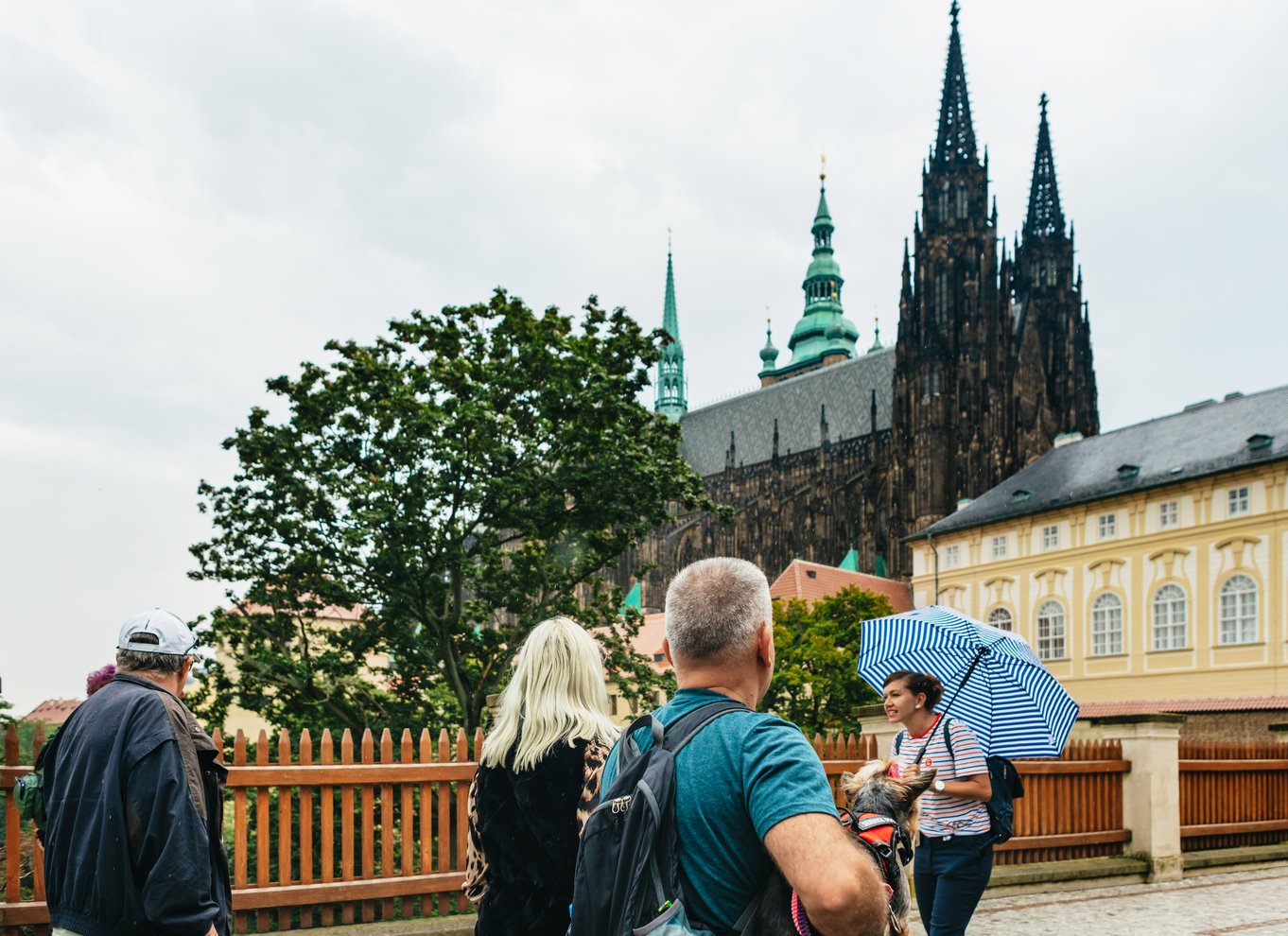 Prag: Byens højdepunkter med bus, båd og til fods