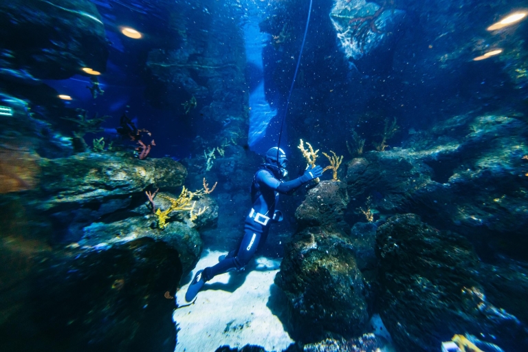 Aquarium de Barcelona: ticket de entrada sin hacer colaTicket para evitar las colas