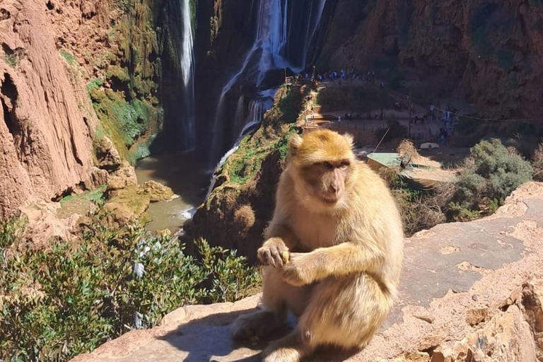 Von Marrakech aus: Ouzoud Wasserfälle Tagestour mit Bootstour