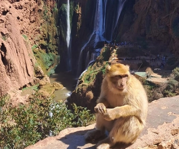 Desde Marrakech: Excursión de un día a las Cascadas de Ouzoud con paseo en barco