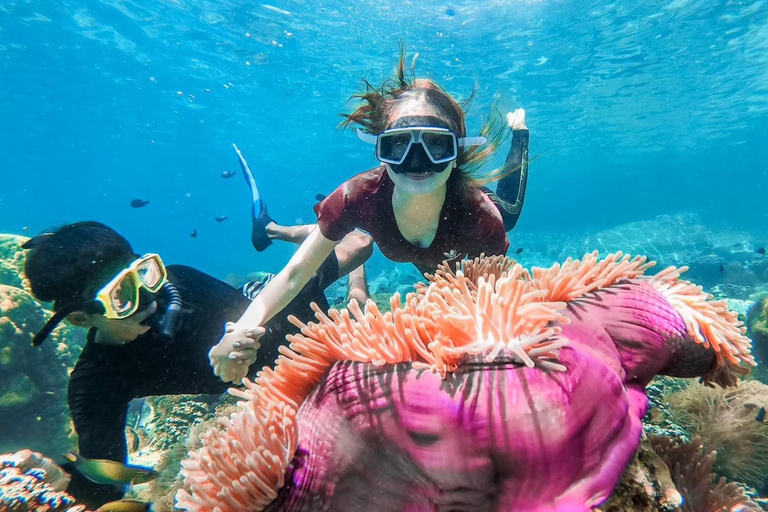 Z Koh Chang: 4 wyspy Snorkel &amp; Beach Tour dużą łodziąRejs wycieczkowy na 4 wyspy: Z transferem do hotelu