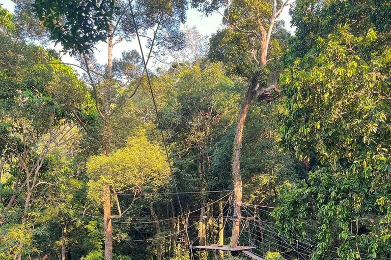 Samui Zipline FLY & Fun Tree Bridge Jungle Cafe & Waterfall