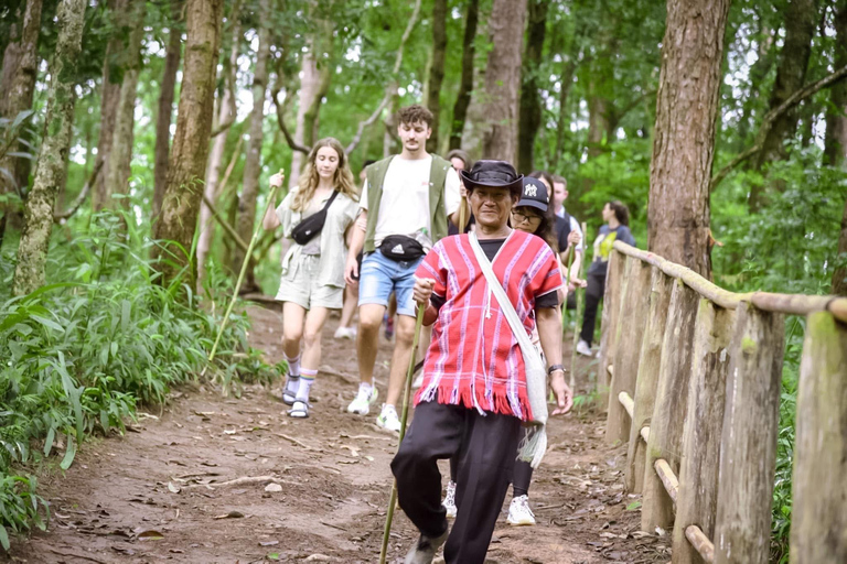 Chiang Mai: Doi Inthanon Pha Dok Siew Trek & Karen Culture