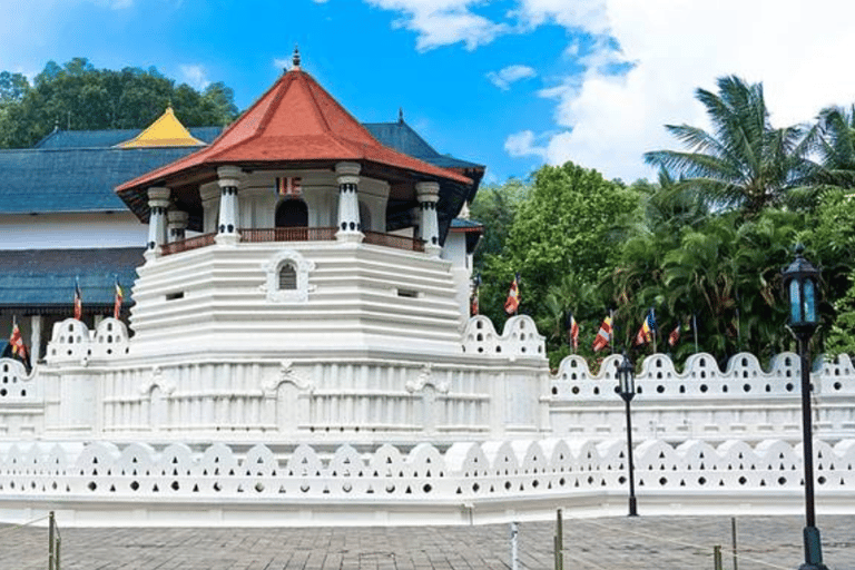 Two-Day Comprehensive Kandy and Nuwara Eliya Exploration Pac