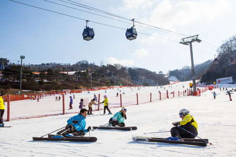 Vivaldi Park_ Ski &amp; Lift Pass (7 ore) con Seoul Shuttle[830am Myeongdong] Attrezzatura da sci e skipass (7 ore)