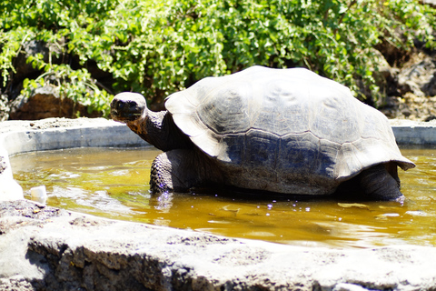 Isola delle Galapagos; tour naturalistico