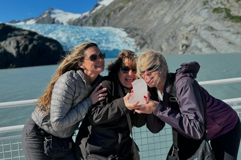 Anchorage: Glacier & Wildlife Discovery Tour (7-hours)