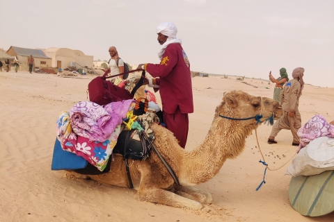 Tunsia : 6 Day Camel Trek in the Desert of Sabria