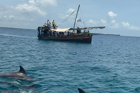 Wasini Dolphin Safari & Kisite Marine Park Dhow Day Trip