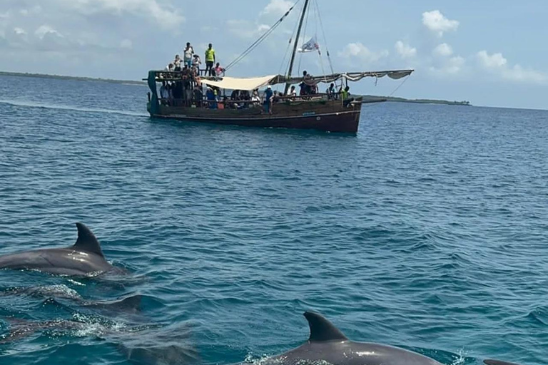 Wasini Dolphin Safari & Kisite Marine Park Dhow Day Trip