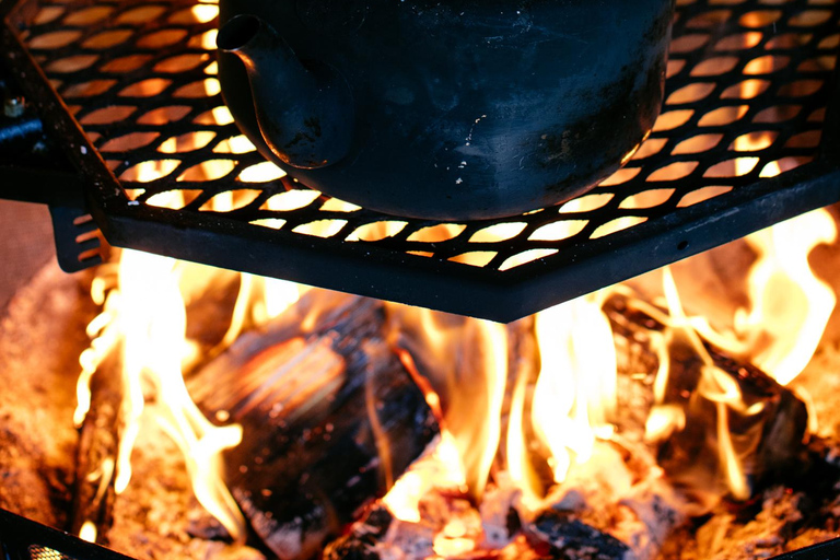 Helsinki: Guided Nature Experience with Campfire and Meal Private Experience from Helsinki