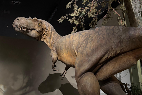 Day of Dinosaurs and Hoodoos From Calgary to Drumheller