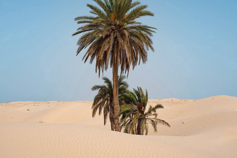 From Djerba: Douz, Matmata Star Wars Sites & local market